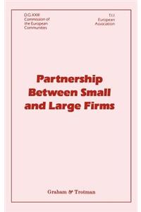 Partnership Between Small and Large Firms
