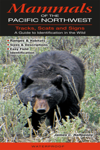 Mammals of the Pacific Northwest Tracks, Scats and Signs