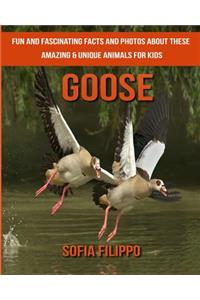 Goose: Fun and Fascinating Facts and Photos about These Amazing & Unique Animals for Kids