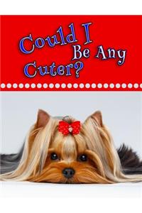 Could I Be Any Cuter?