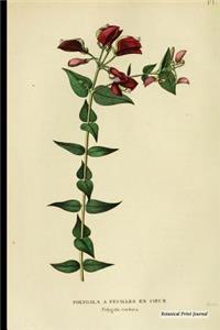 Botanical Print Journal