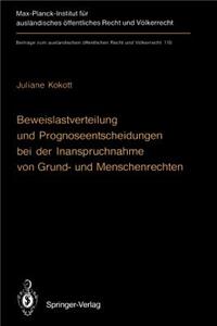 Beweislastverteilung Und Prognoseentscheidungen Bei Der Inanspruchnahme Von Grund- Und Menschenrechten