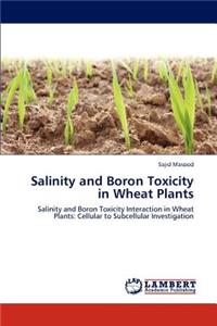 Salinity and Boron Toxicity in Wheat Plants