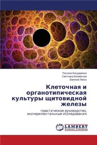 Kletochnaya i organotipicheskaya kul'tury shchitovidnoy zhelezy