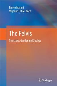 Pelvis