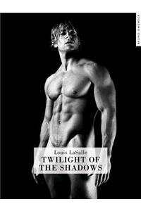 Twilight of the Shadows