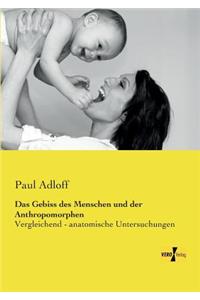 Das Gebiss des Menschen und der Anthropomorphen
