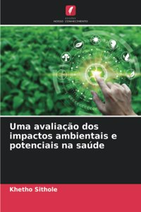 Uma avaliação dos impactos ambientais e potenciais na saúde
