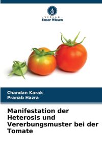 Manifestation der Heterosis und Vererbungsmuster bei der Tomate