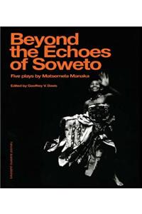 Beyond The Echoes of Soweto