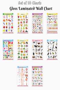 Kids Learning Chart English-Hindi:Alphabet, Fruits, Vegetables, Animals, Birds, Body Parts,Numbers,Hindi Varnmala,Shapes &Colours and Flowersâ€“Gloss Lamination (Pack of 10)-Educational posters for kids