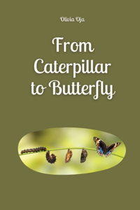 From Caterpillar to Butterfly