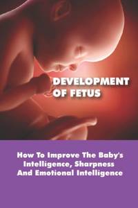 Development Of Fetus