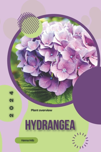 Hydrangea