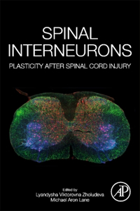 Spinal Interneurons: Plasticity After Spinal Cord Injury