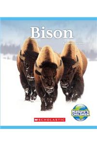 Bison (Nature's Children)