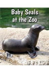 Baby Seals at the Zoo