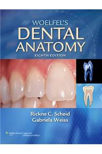 Woelfel's Dental Anatomy