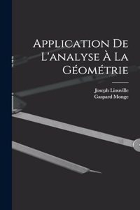 Application De L'analyse À La Géométrie