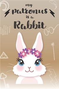 My Patronus Is A Rabbit
