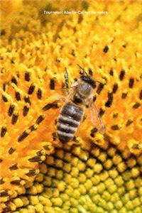 Tournesol Abeille Carnet de notes