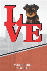 Yorkshire Terrier