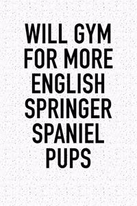 Will Gym for More English Springer Spaniel Pups