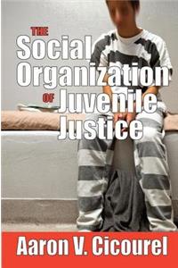 The Social Organization of Juvenile Justice