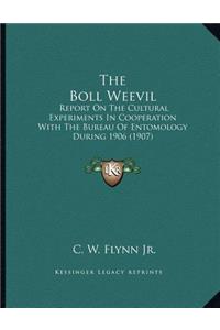 The Boll Weevil