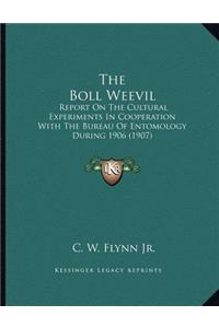 The Boll Weevil