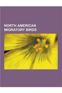 North American Migratory Birds: American Robin, American White Pelican, Bell's Vireo, Blue-Gray Gnatcatcher, Brown Creeper, Cave Swallow, Clay-Colored