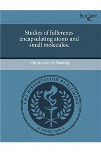 Studies of Fullerenes Encapsulating Atoms and Small Molecules