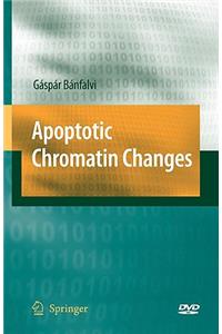 Apoptotic Chromatin Changes