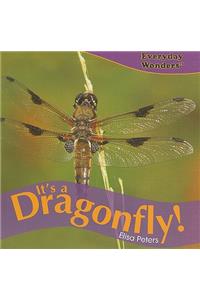 It's a Dragonfly!