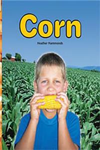 Rigby Flying Colors: Leveled Reader Bookroom Package Turquoise Corn