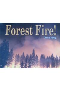 Forest Fire!