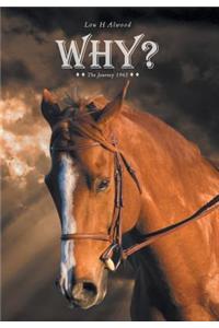 Why? The Journey 1965
