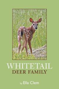 Whitetail Deer Family