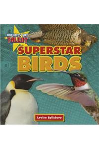 Superstar Birds