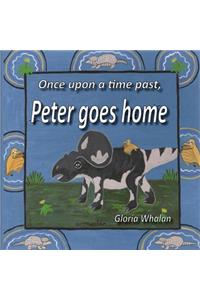 Once upon a time past, Peter goes home
