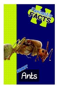 Fantastic Facts about Ants