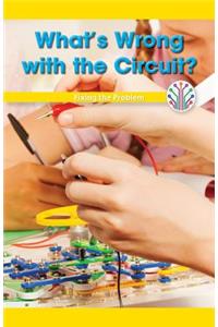 What's Wrong with the Circuit?