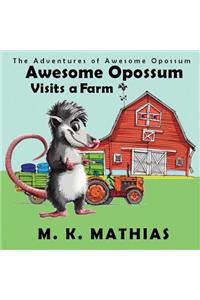 Awesome Opossum Visits a Farm