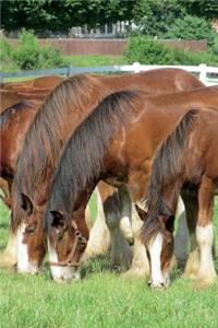 Horses in a Row Journal: 150 Page Lined Notebook/Diary