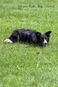 Border Collie May Notebook Border Collie Record, Log, Diary, Special Memories, To Do List, Academic Notepad, Scrapbook & More