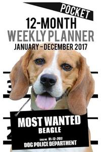 2017 Pocket Weekly Planner - Most Wanted Beagle