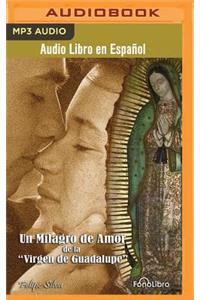 Milagro de Amor de la Virgen de Guadalupe