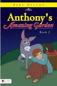 Anthony's Amazing Garden