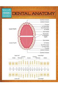 Dental Anatomy (Speedy Study Guide)