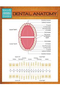 Dental Anatomy (Speedy Study Guide)